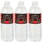 Big Dot of Happiness Red Carpet - Movie Night Party Water Bottle Sticker Labels - Set of 20